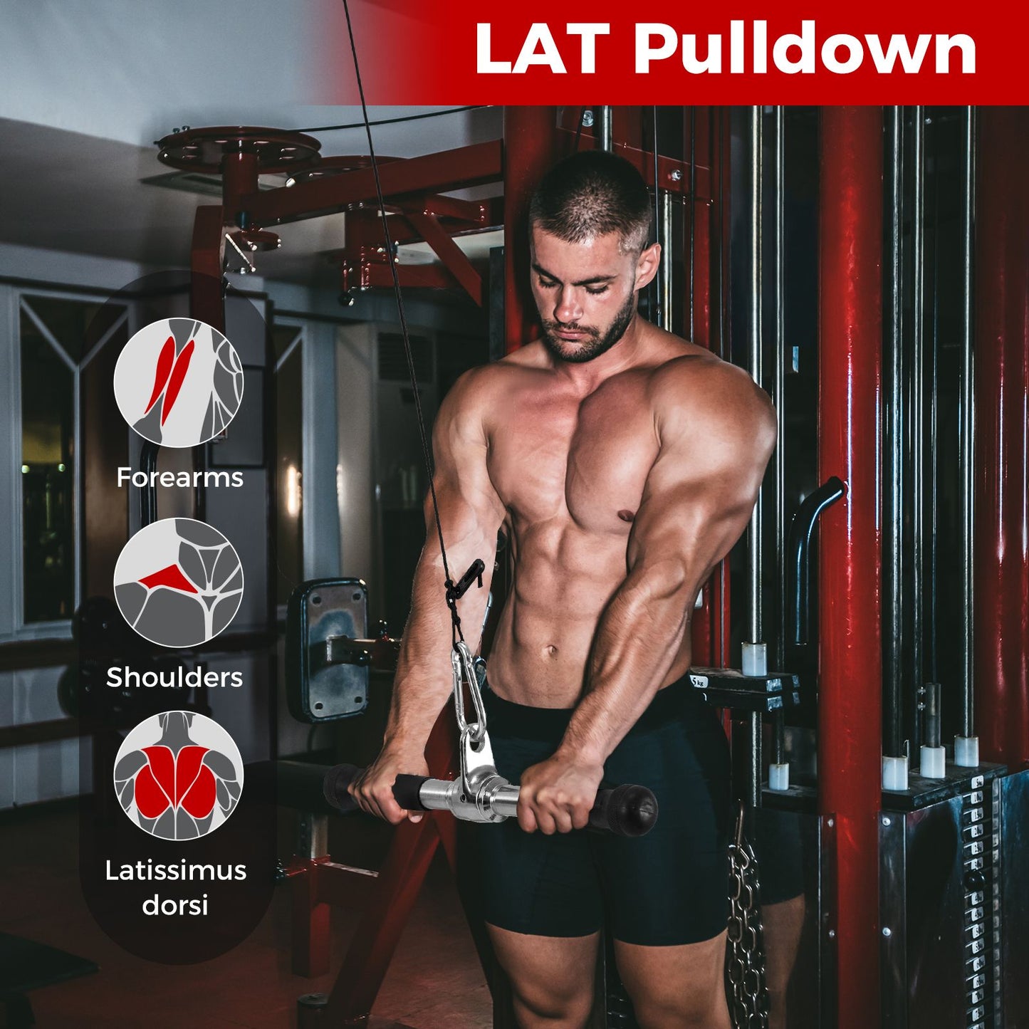 Cable Machine Attachment Set LAT Pulldown Attachments