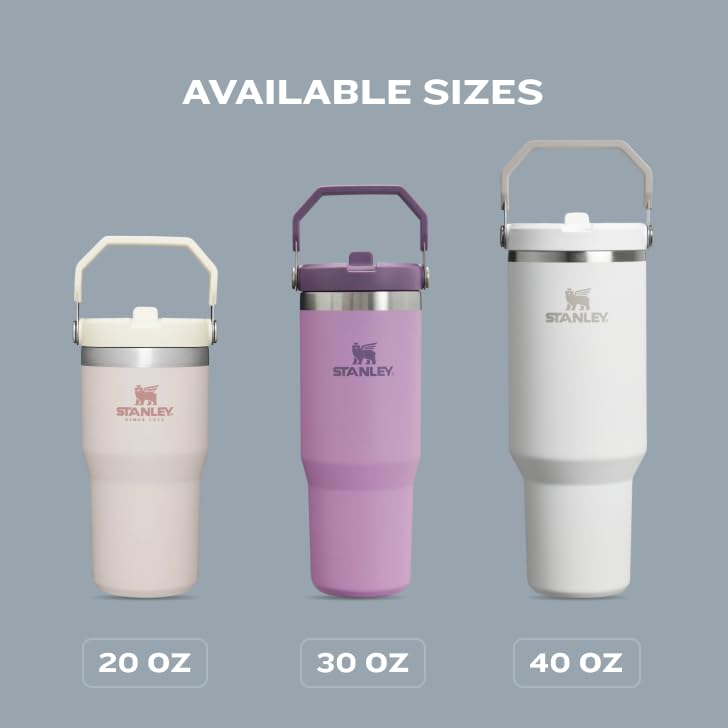 Stanley IceFlow 2.0 Flip Straw Tumbler with Handle 30 oz | Twist On Lid and Flip Up Straw | Leak Resistant Water Bottle | Insulated Stainless Steel | BPA-Free | Hydrangea