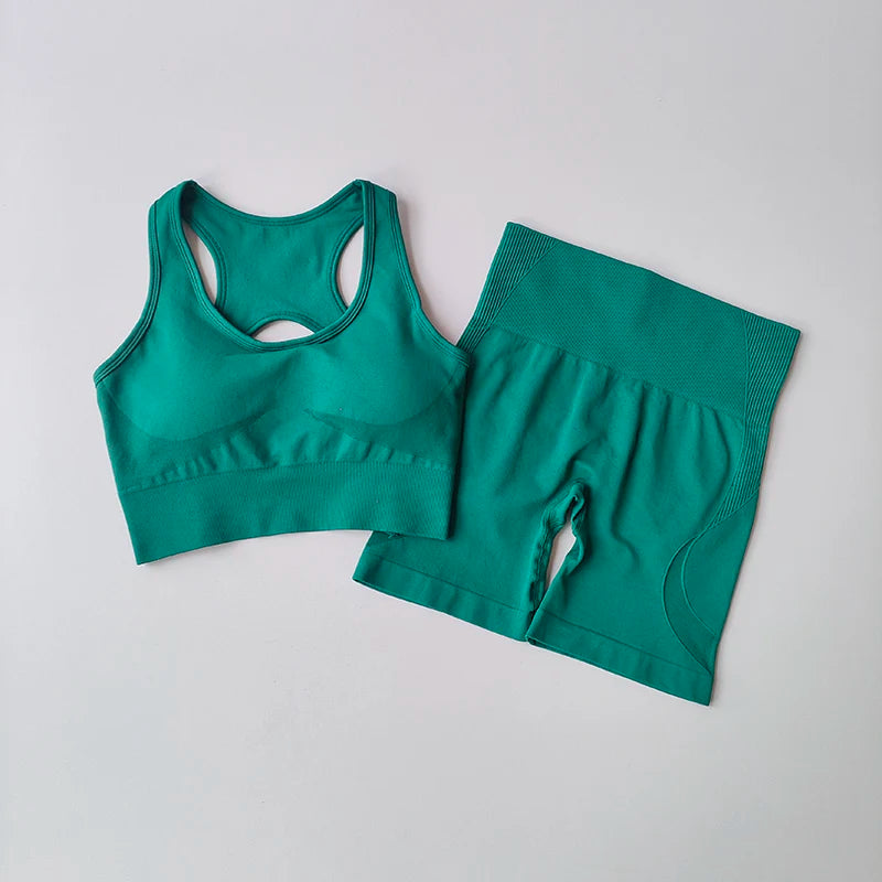 2 PCS Women'S Seamless Yoga Set Sexy Sport Bra High Waist Sports Shorts Gym Fitness Sleeveless Workout Suit Sporstwear