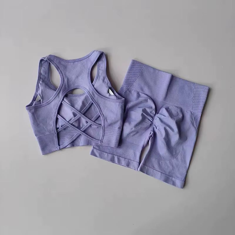 2 PCS Women'S Seamless Yoga Set Sexy Sport Bra High Waist Sports Shorts Gym Fitness Sleeveless Workout Suit Sporstwear